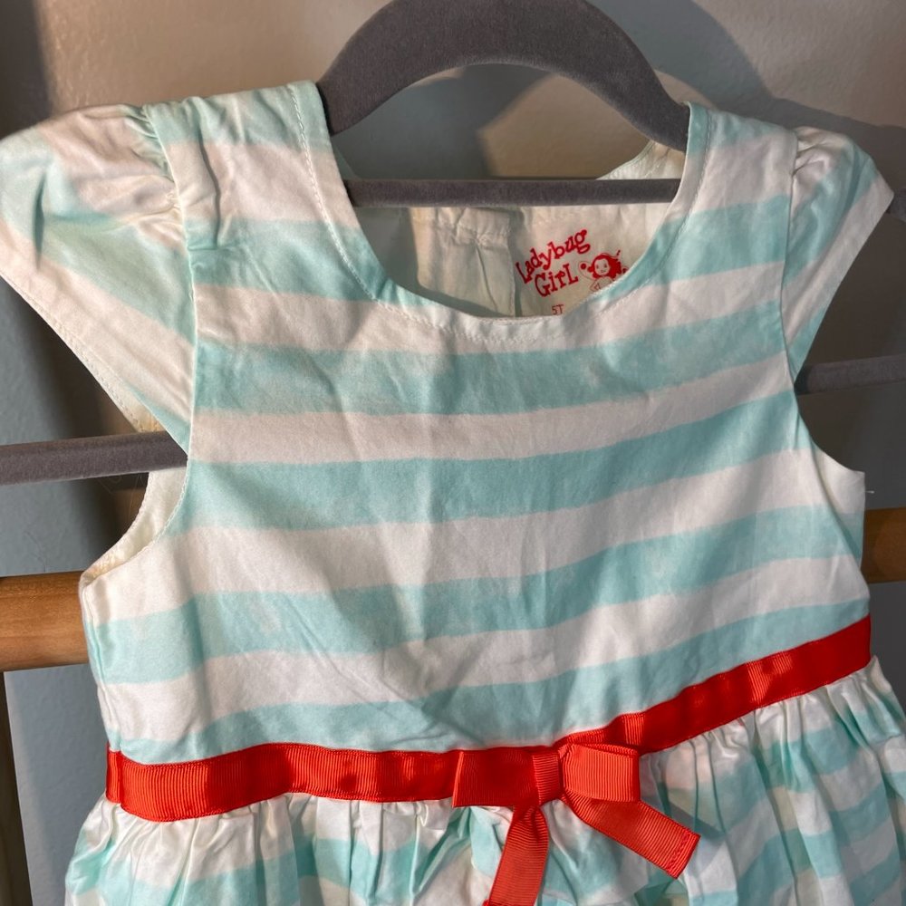 Ladybug Girl Formal Dress - Picture 4 of 5